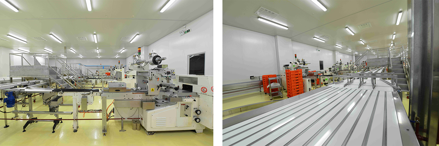 Full Automatic Sorting Machine Full Automatic Sorting Machine